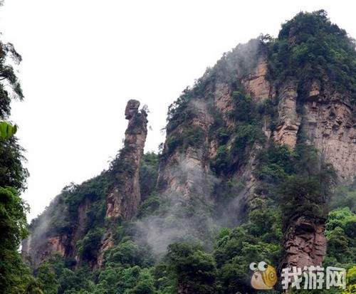 老人采药.jpg